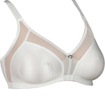 ESTELA" BRA (C/D)