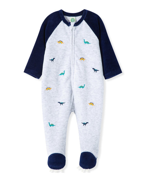 دينو شيفلي فيلور فوتي