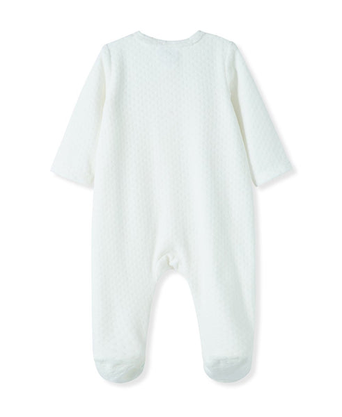 الزرافة فيلور فوتي 11235