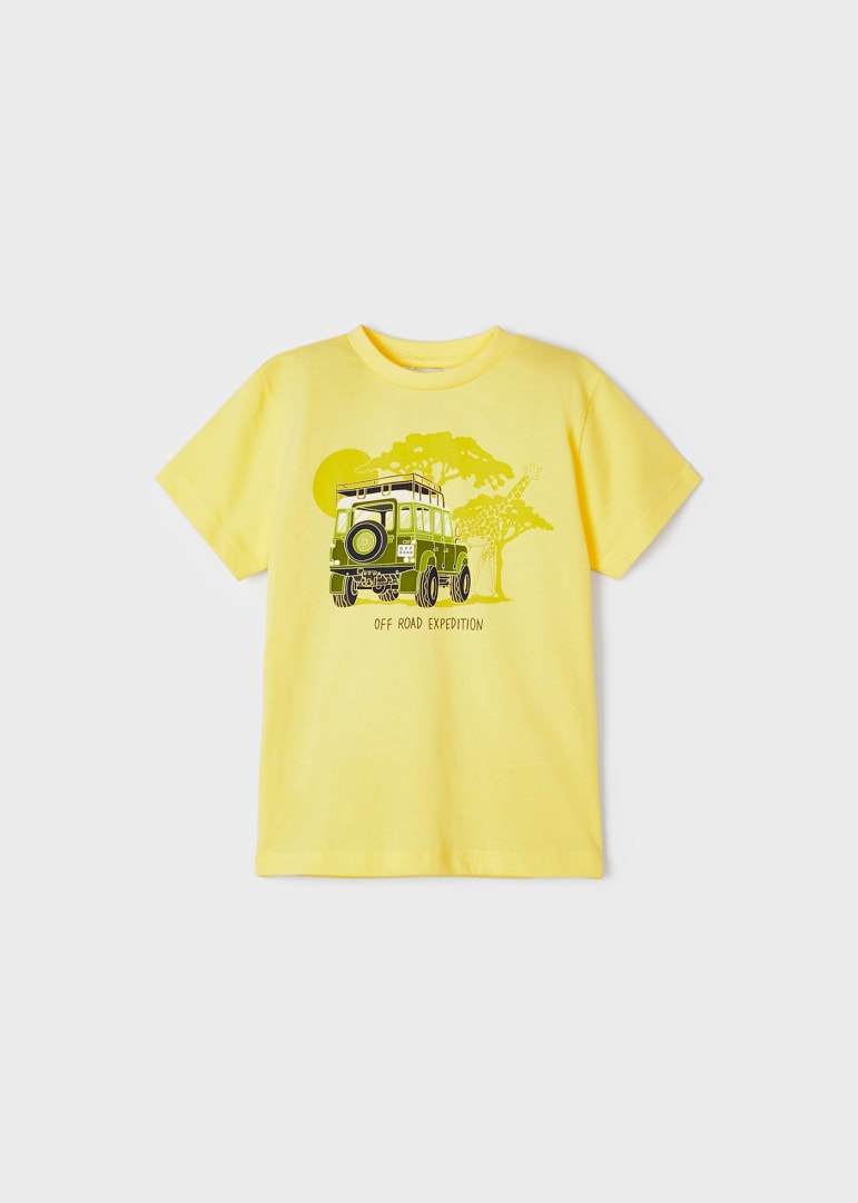 T-shirt with a printed motif in sustainable cotton for a boy Art. 23-03009-035