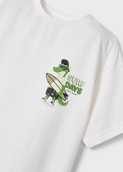 Boys' Sustainable Cotton Skater Fit T-Shirt Art. 23-03015-023