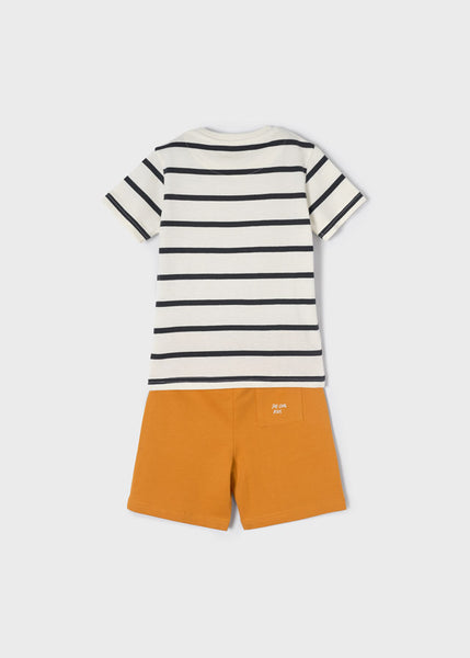 Knit stripes t-shirt set boy Art. 22-03651-015