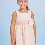 Embroidered Organza Dress For Girl Ref. 23-05044-052