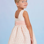Embroidered Organza Dress For Girl Ref. 23-05044-052