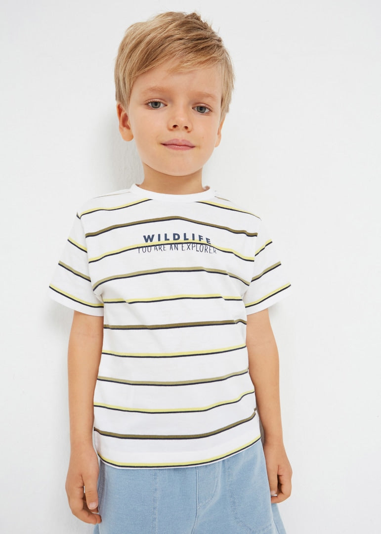 Set of 2 sustainable cotton short-sleeved t-shirts for boys Art. 23-03008-031