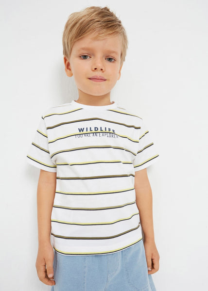 Set of 2 sustainable cotton short-sleeved t-shirts for boys Art. 23-03008-031