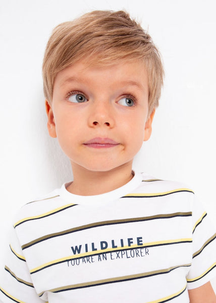 Set of 2 sustainable cotton short-sleeved t-shirts for boys Art. 23-03008-031