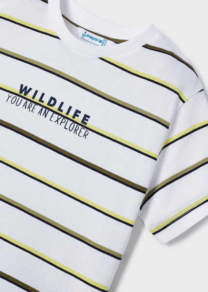 Set of 2 sustainable cotton short-sleeved t-shirts for boys Art. 23-03008-031