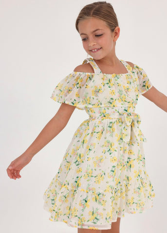 Chiffon Floral Print Dress for Girl Art. 23-06913-019