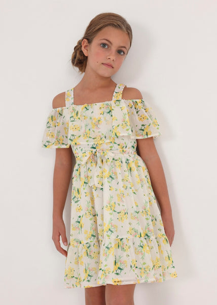 Chiffon Floral Print Dress for Girl Art. 23-06913-019